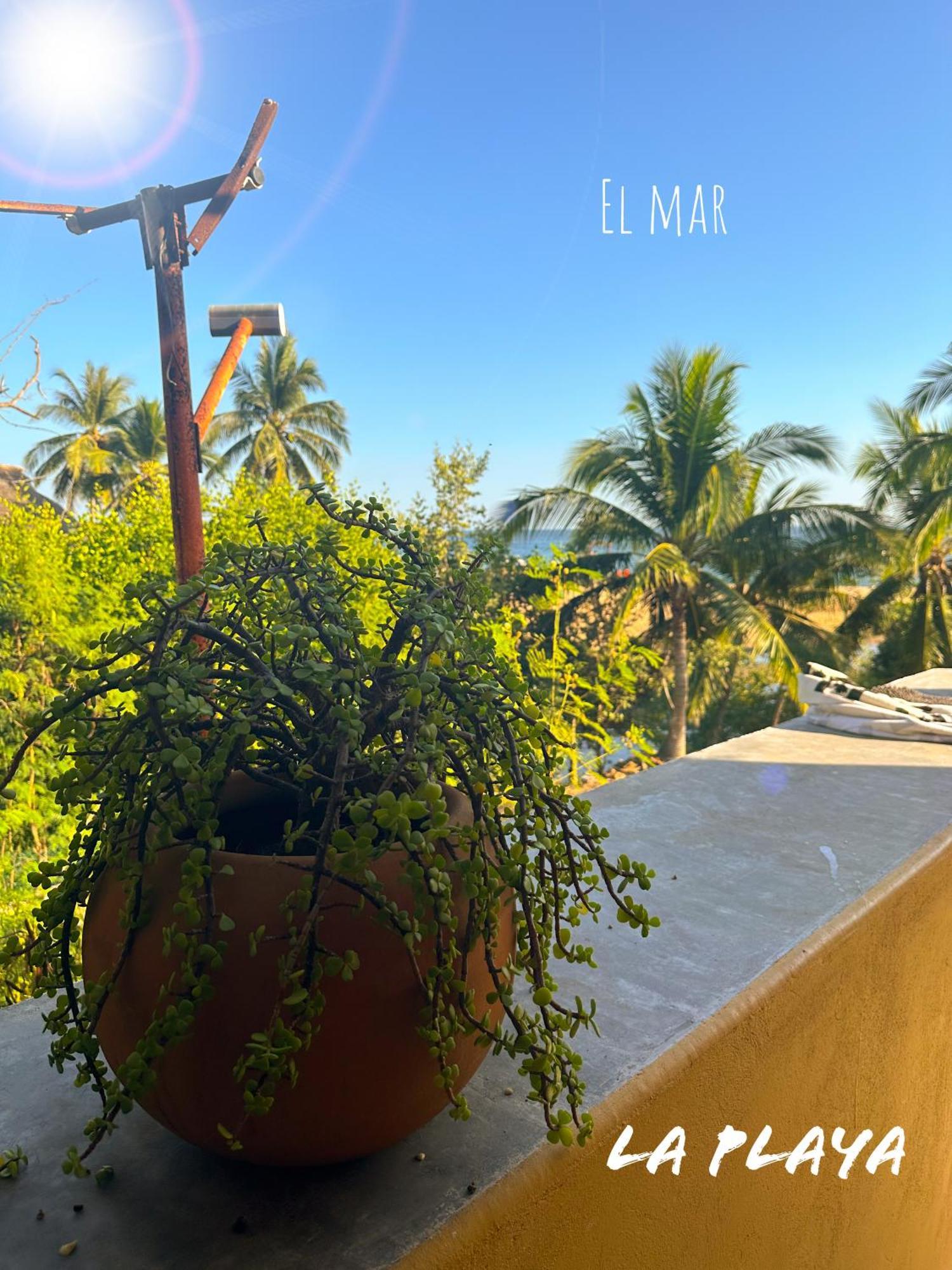 Hotel La Playa 马祖特 外观 照片