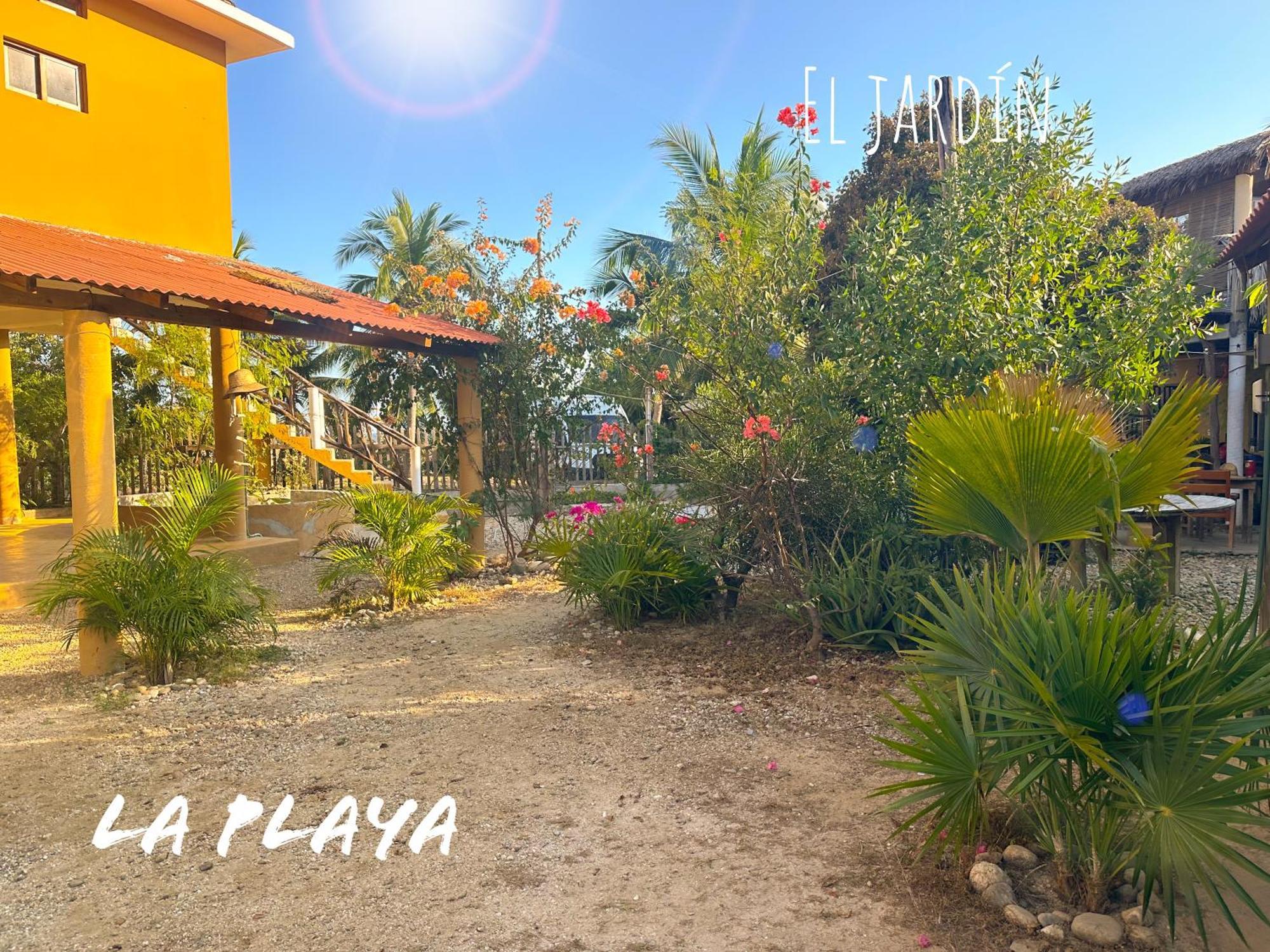 Hotel La Playa 马祖特 外观 照片