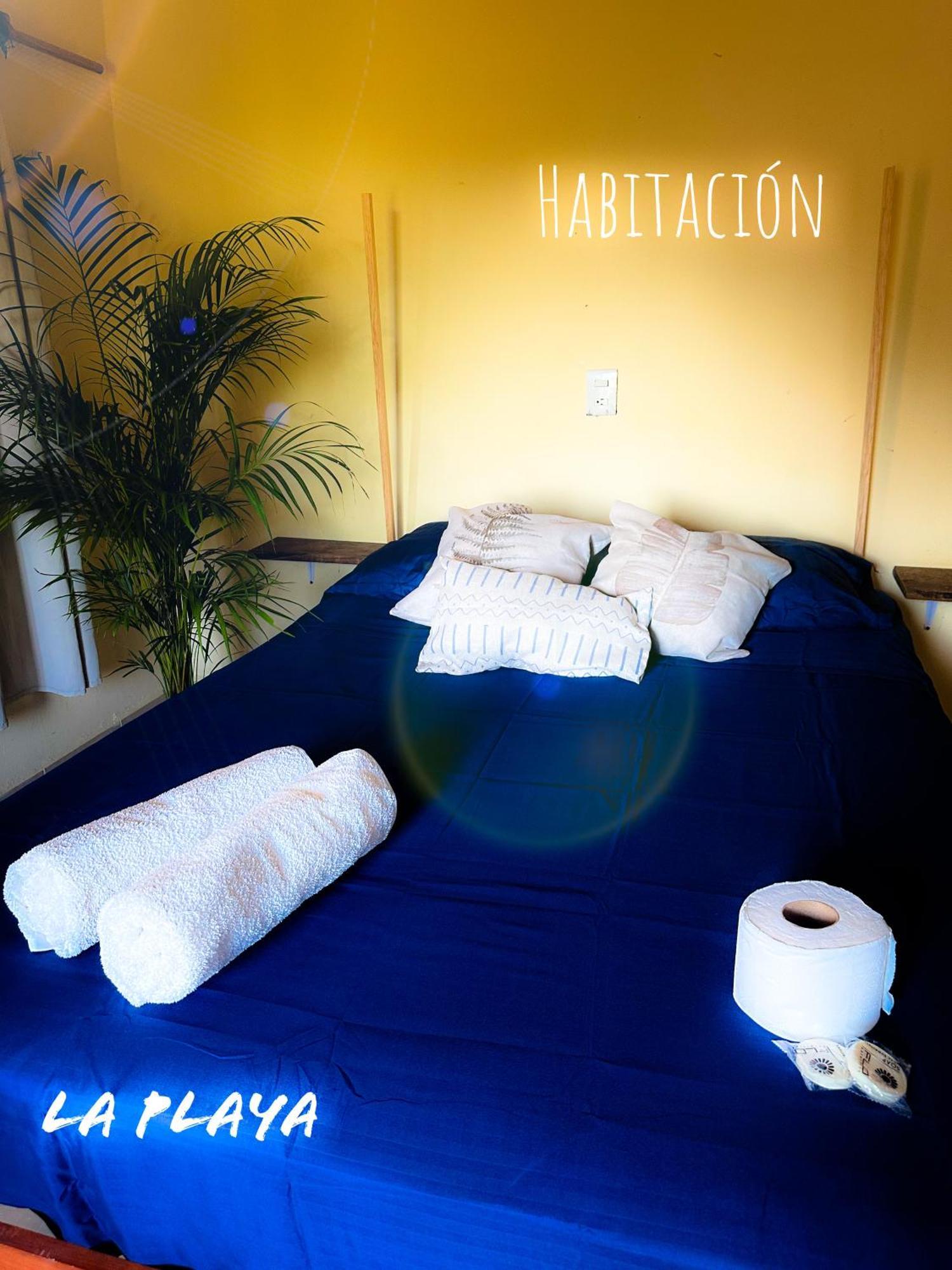 Hotel La Playa 马祖特 外观 照片